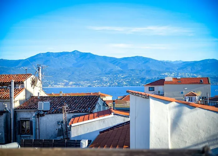 Apartment Rosella - Rooftop Hypercentre - By Tgb Ajaccio (Corsica)
